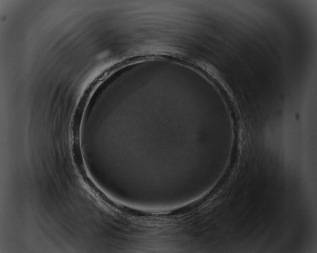 X0000051891024200507020050