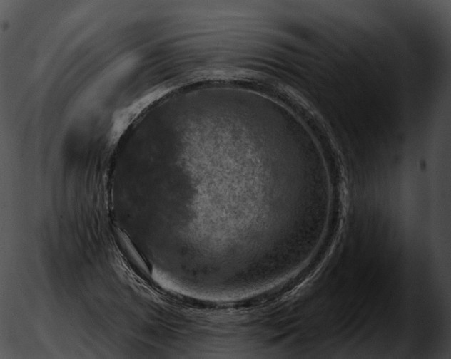 X0000051891025200507020050