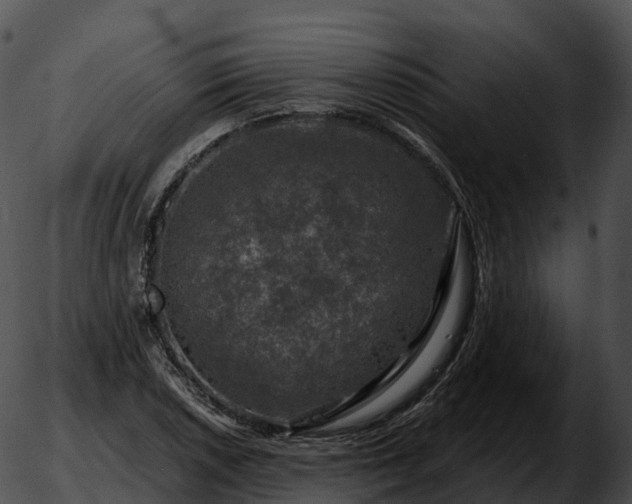 X0000051891026200507020050