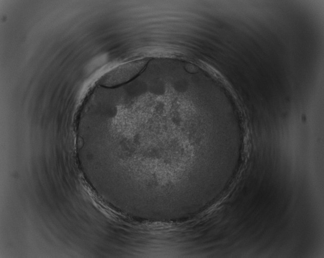 X0000051891027200507020050