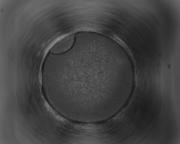 X0000051891028200507020050