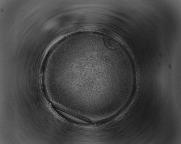 X0000051891029200507020050