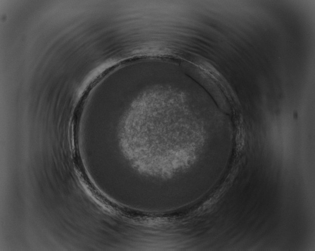 X0000051891030200507020050