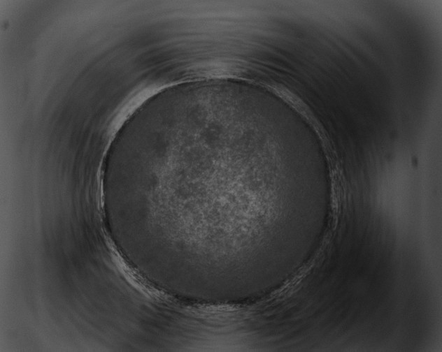 X0000051891031200507020051