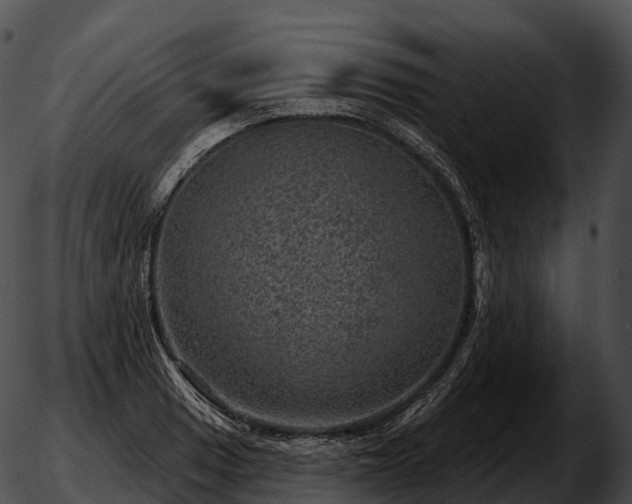 X0000051891033200507020051