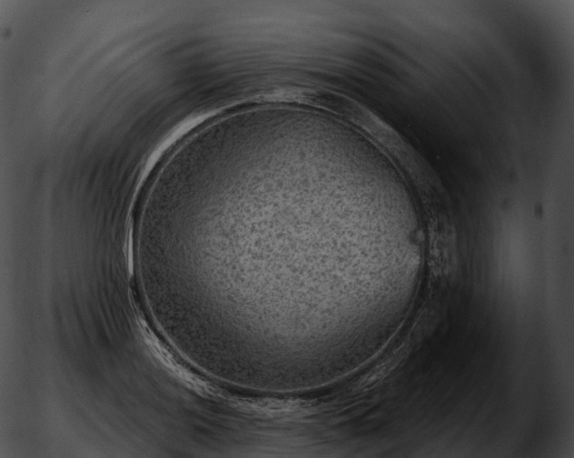 X0000051891036200507020051