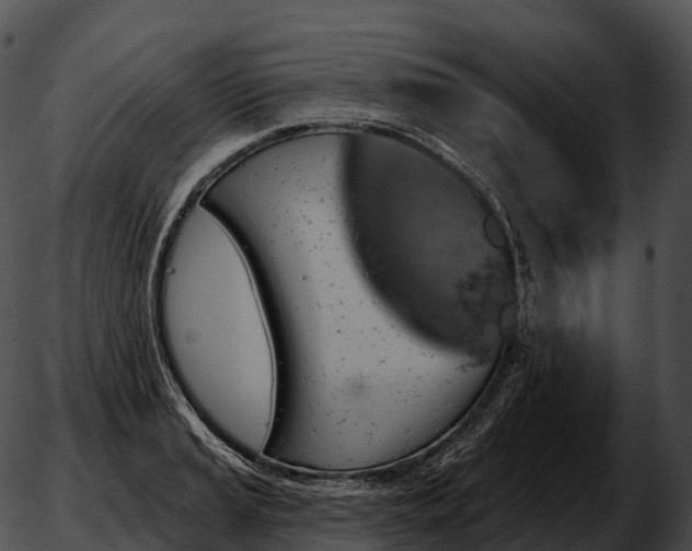 X0000051891037200507020051