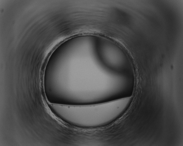 X0000051891038200507020051