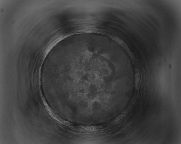 X0000051891039200507020051