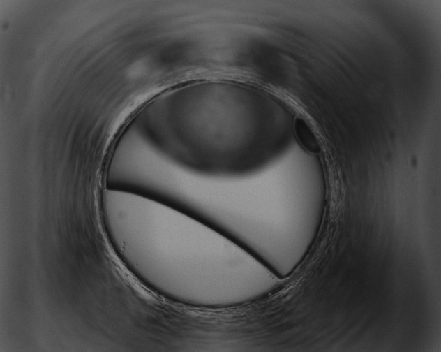 X0000051891040200507020051