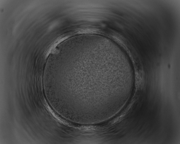 X0000051891041200507020051