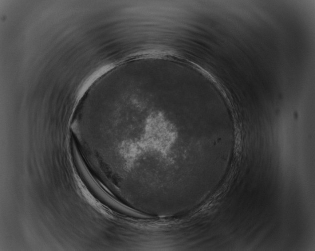 X0000051891042200507020051