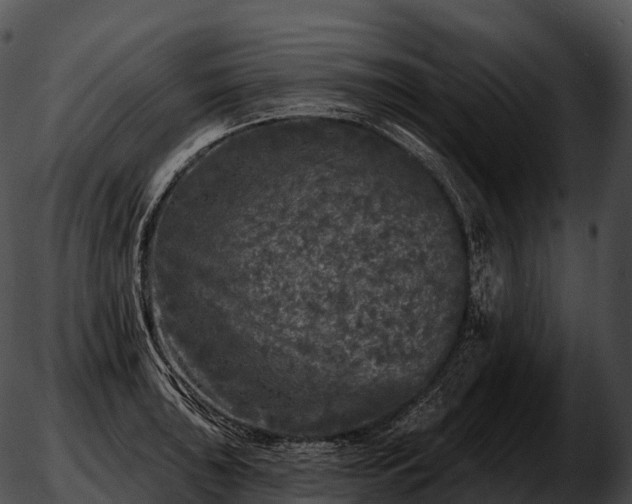 X0000051891043200507020051