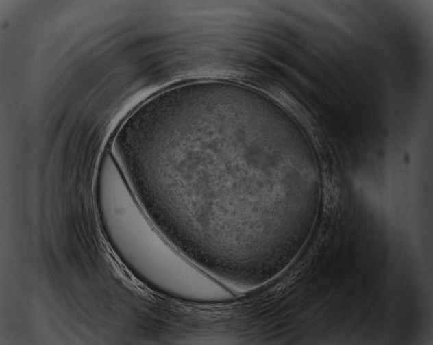 X0000051891044200507020051