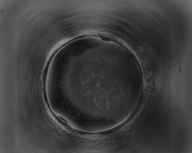 X0000051891045200507020051