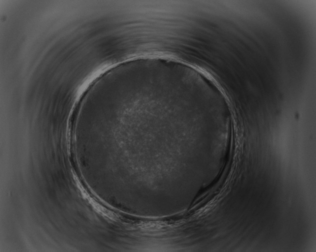 X0000051891046200507020051