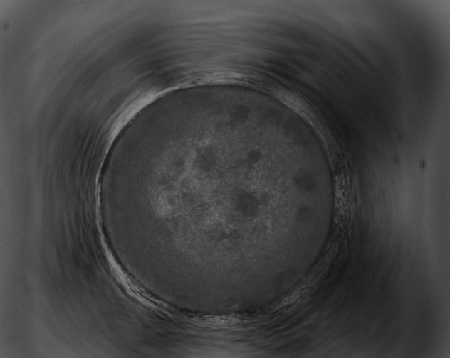 X0000051891047200507020051