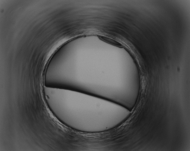 X0000051891048200507020051