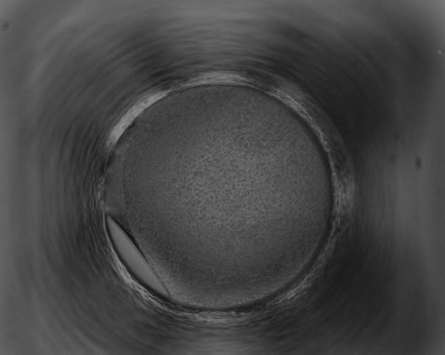 X0000051891049200507020051