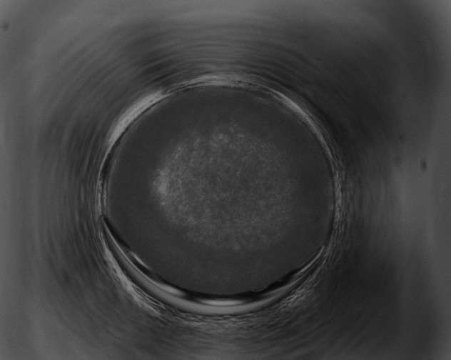 X0000051891050200507020051