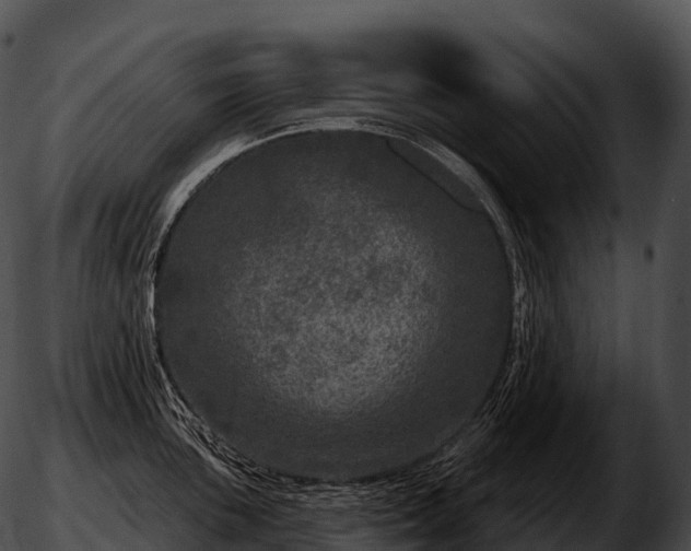 X0000051891051200507020051