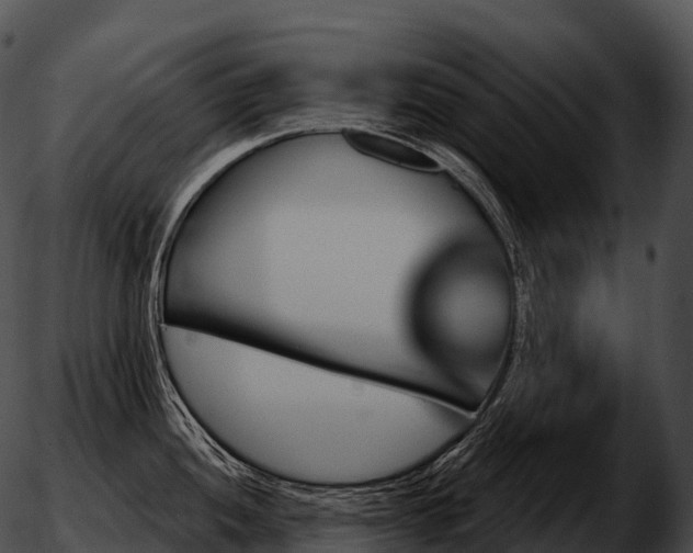 X0000051891052200507020051