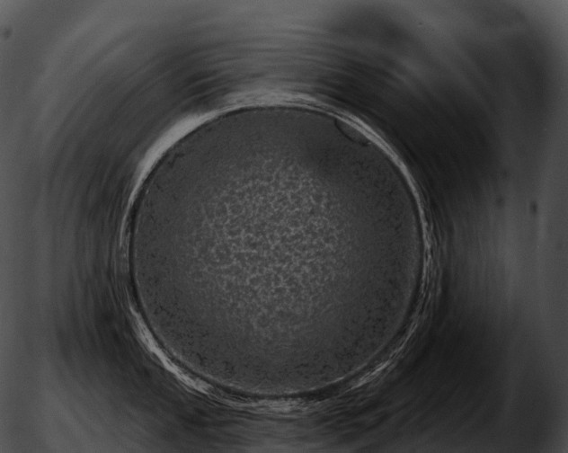 X0000051891053200507020051