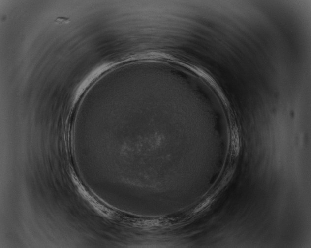 X0000051891054200507020051