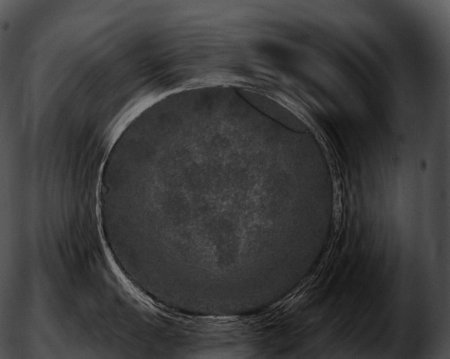 X0000051891055200507020051