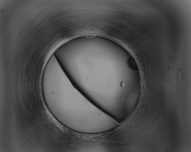 X0000051891056200507020051