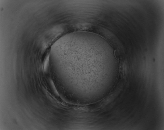 X0000051891058200507020050