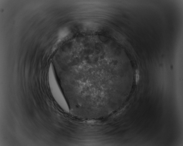 X0000051891059200507020050