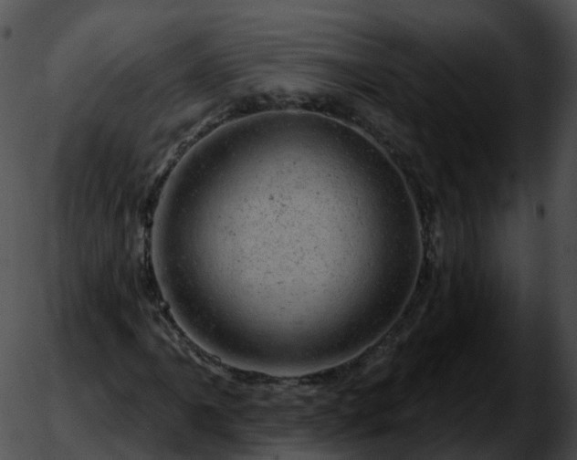 X0000051891061200507020050