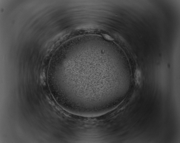 X0000051891062200507020050