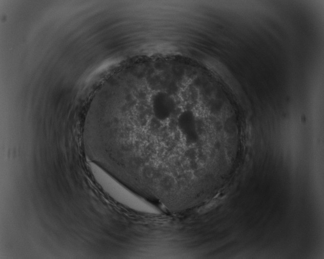 X0000051891063200507020050