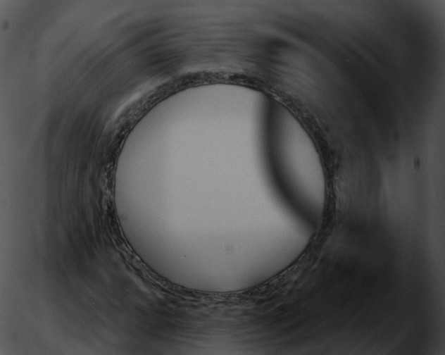 X0000051891064200507020050