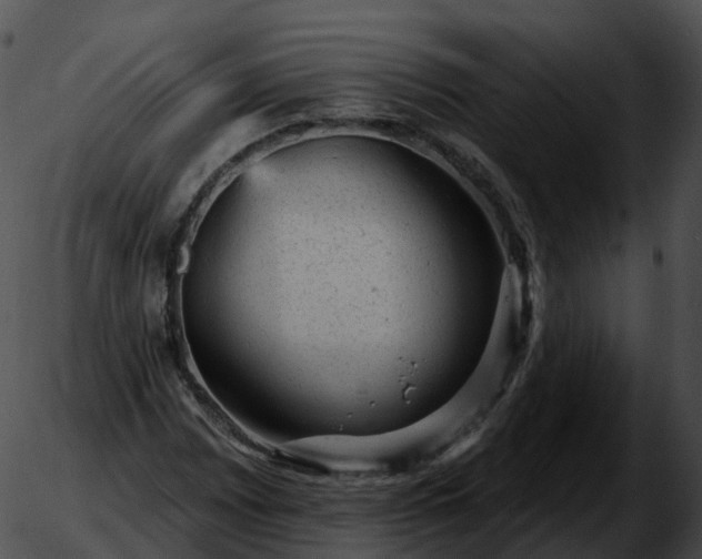 X0000051891065200507020050