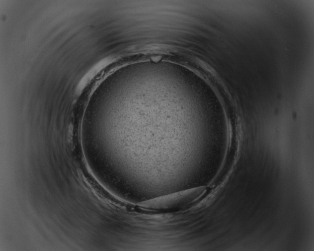 X0000051891066200507020050