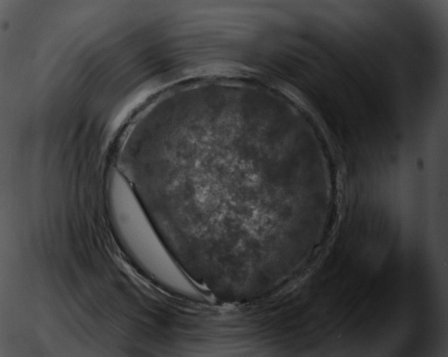 X0000051891067200507020050