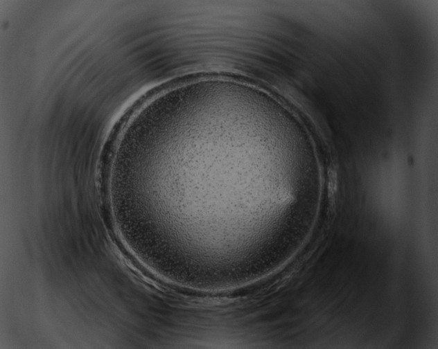 X0000051891068200507020050