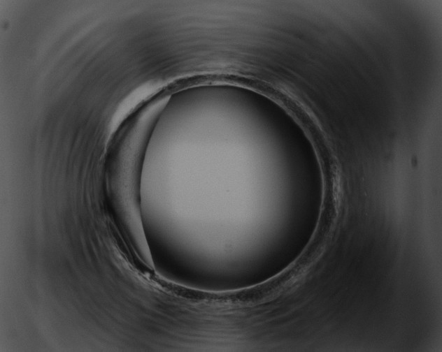 X0000051891069200507020050