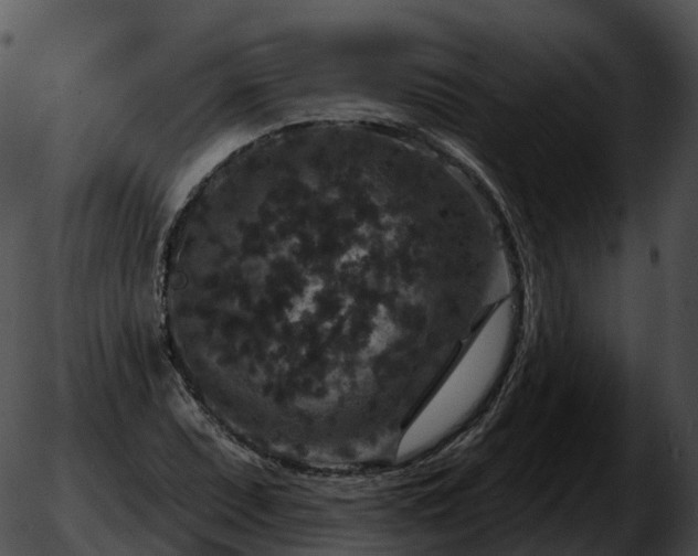 X0000051891071200507020050