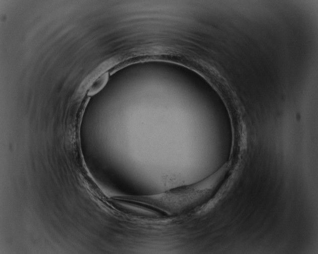 X0000051891073200507020050