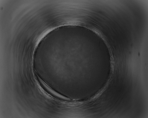 X0000051891077200507020050