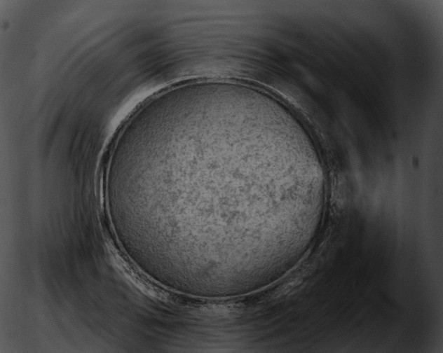 X0000051891078200507020050