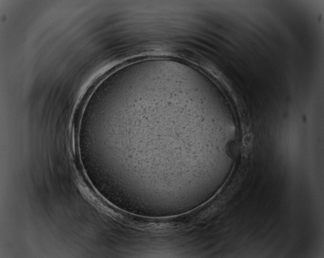 X0000051891080200507020050