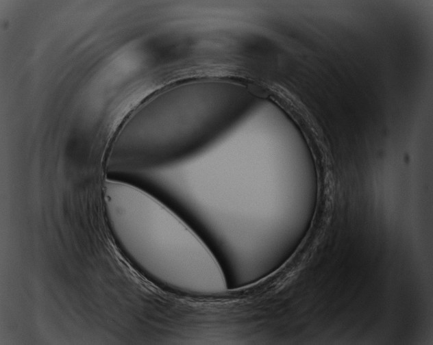 X0000051891081200507020050