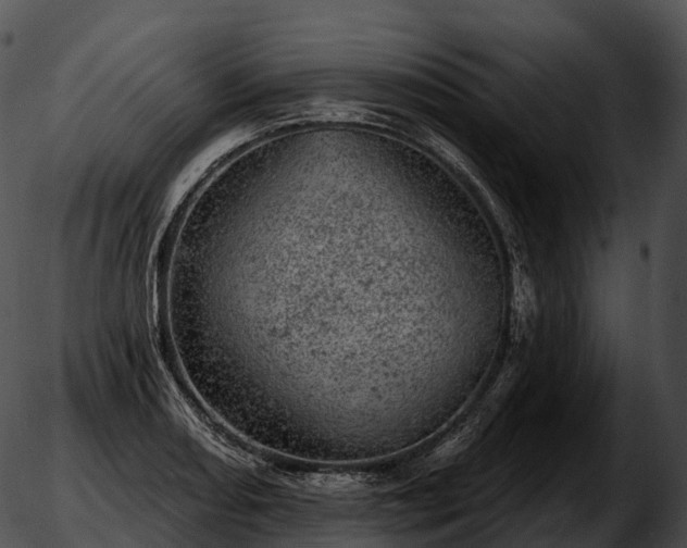 X0000051891082200507020050