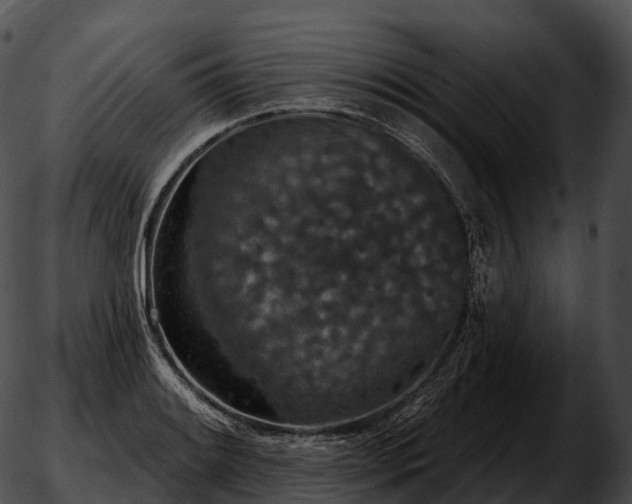 X0000051891084200507020050