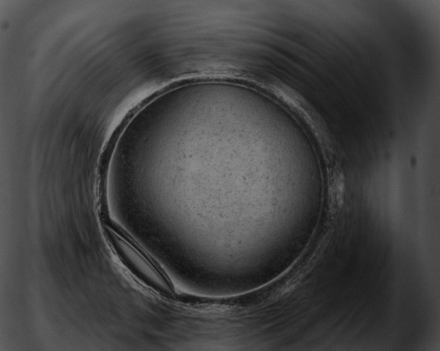 X0000051891085200507020050